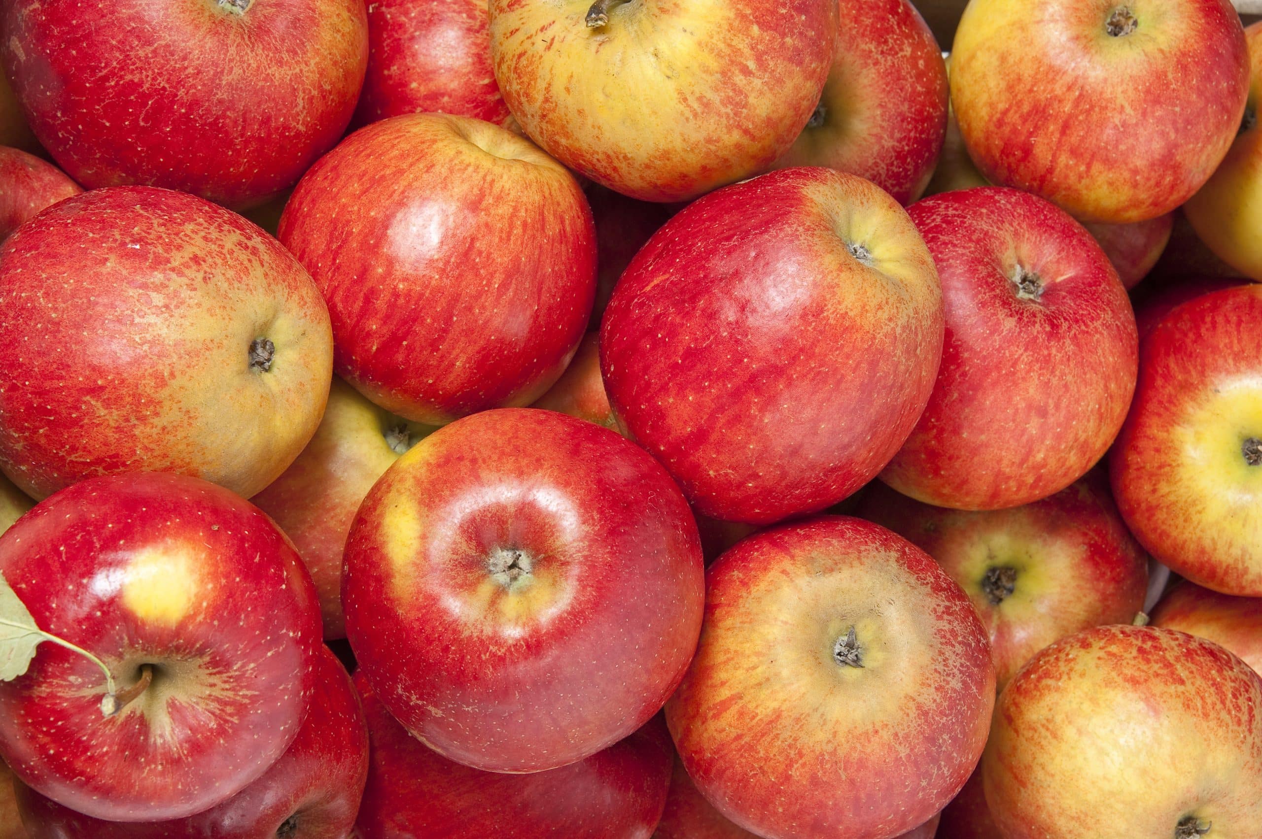 manzana roja