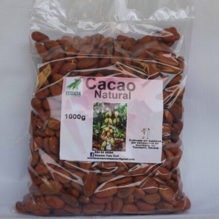 cacao grano