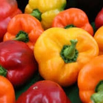 Pimiento Morrón (Pza)