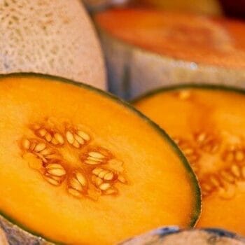 Melón (pz) Temoaya
