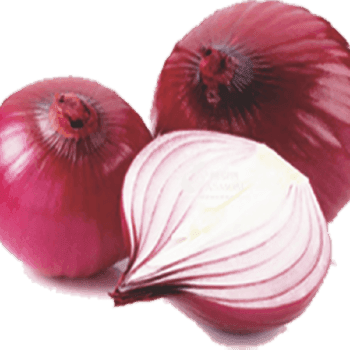Cebolla Morada Temoaya (Pza)