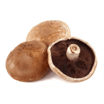 Portobello pza