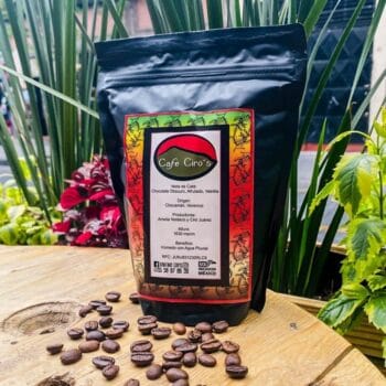 Café de Especialidad Artesanal de Chocamán Veracrúz (Molido o en grano)
