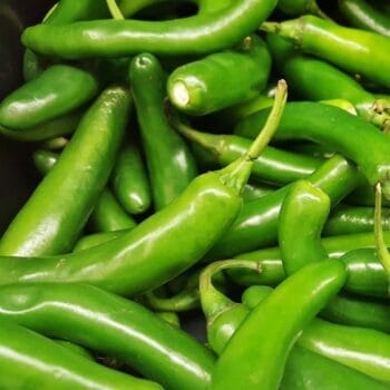 Chile serrano 100gr