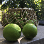 Limón 500gr Temoaya