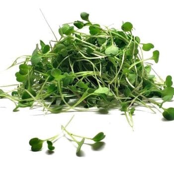 MICROGREENS DE ZANAHORIA (Brote Domo de 28 gr)