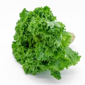 LECHUGA ITALIANA BABY Pza pequeña