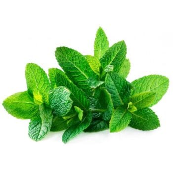 MANOJITO DE YERBABUENA
