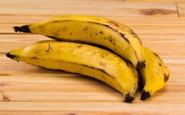 plátano macho