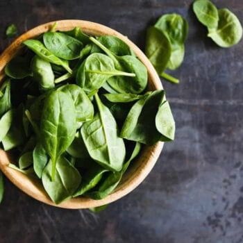 Albahaca fresca manojito
