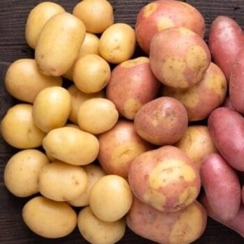 Papa cambray 500gr