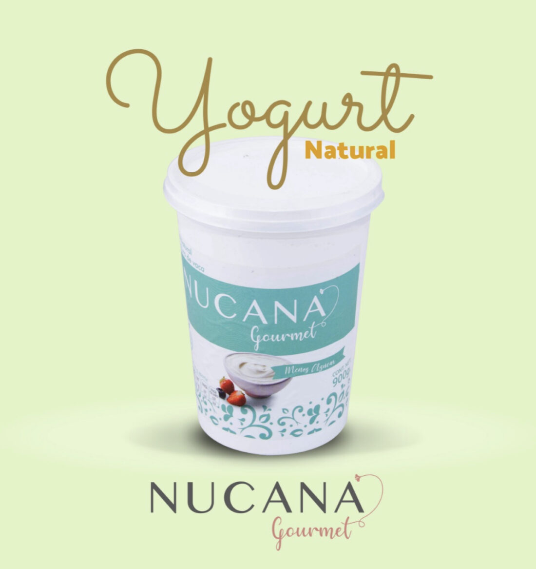 Yogurt Natural