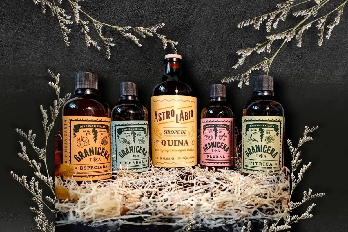 Box de Tonic & Acentos Gin