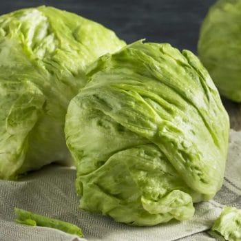 LECHUGA ROMANA Temoaya