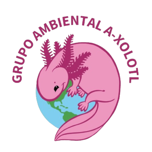 Entre Yuyos y Quelites