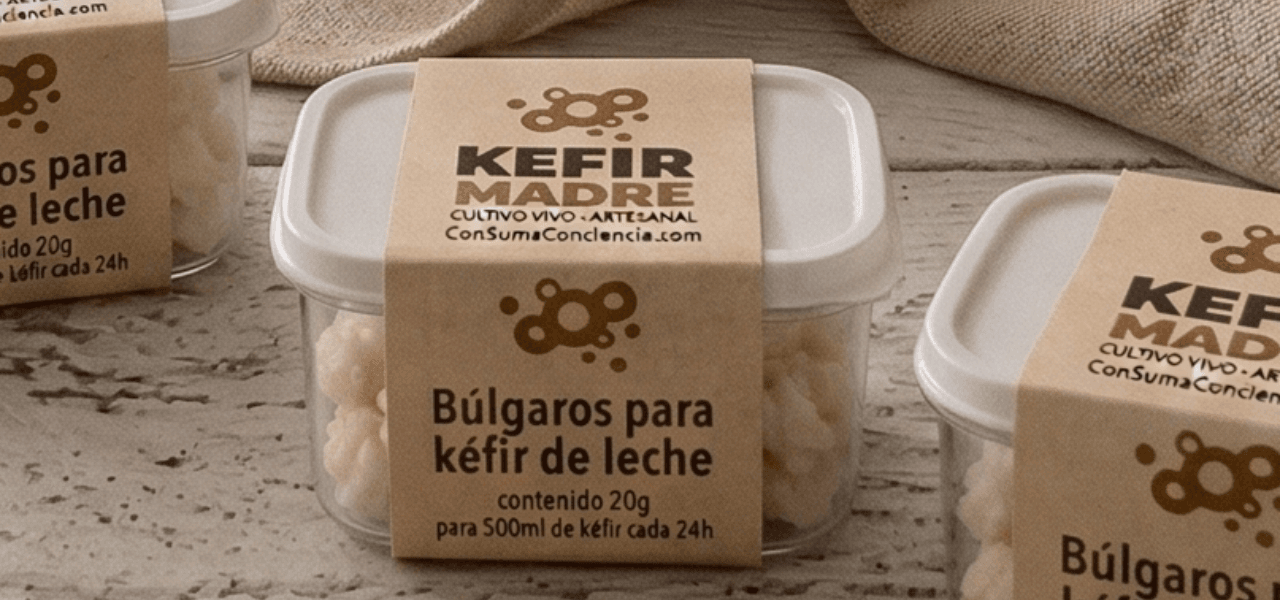 Búlgaros de kéfir en proceso de cultivo