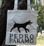 Tote Pedro páramo